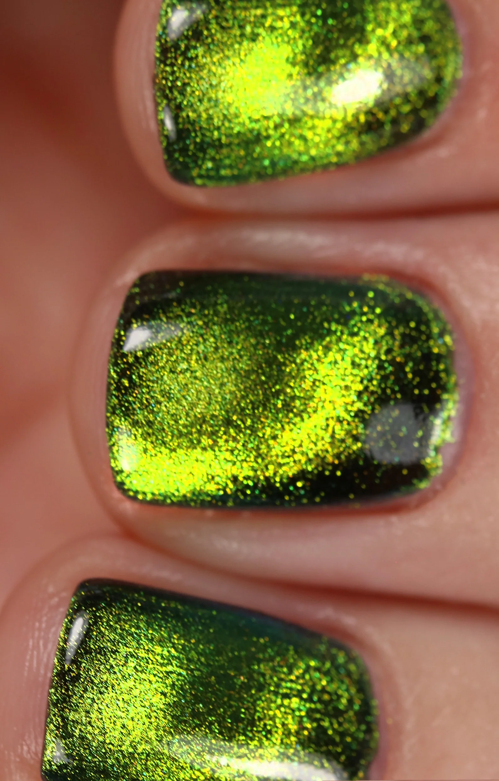 Absinthe - Image 12