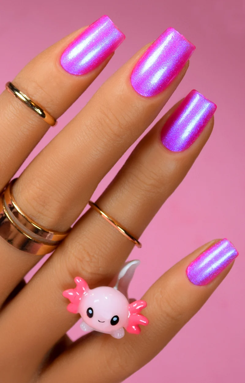 Axolotl - Image 4