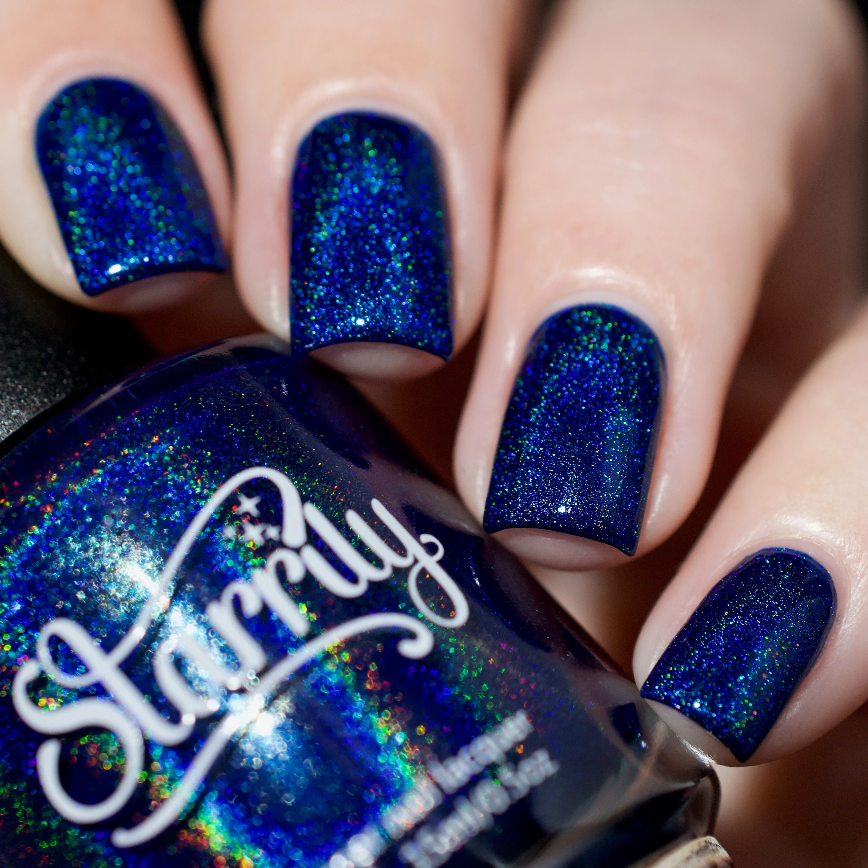 Blue Rose - Image 4
