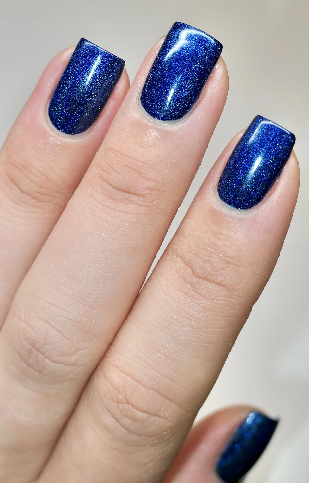 Blue Rose - Image 6