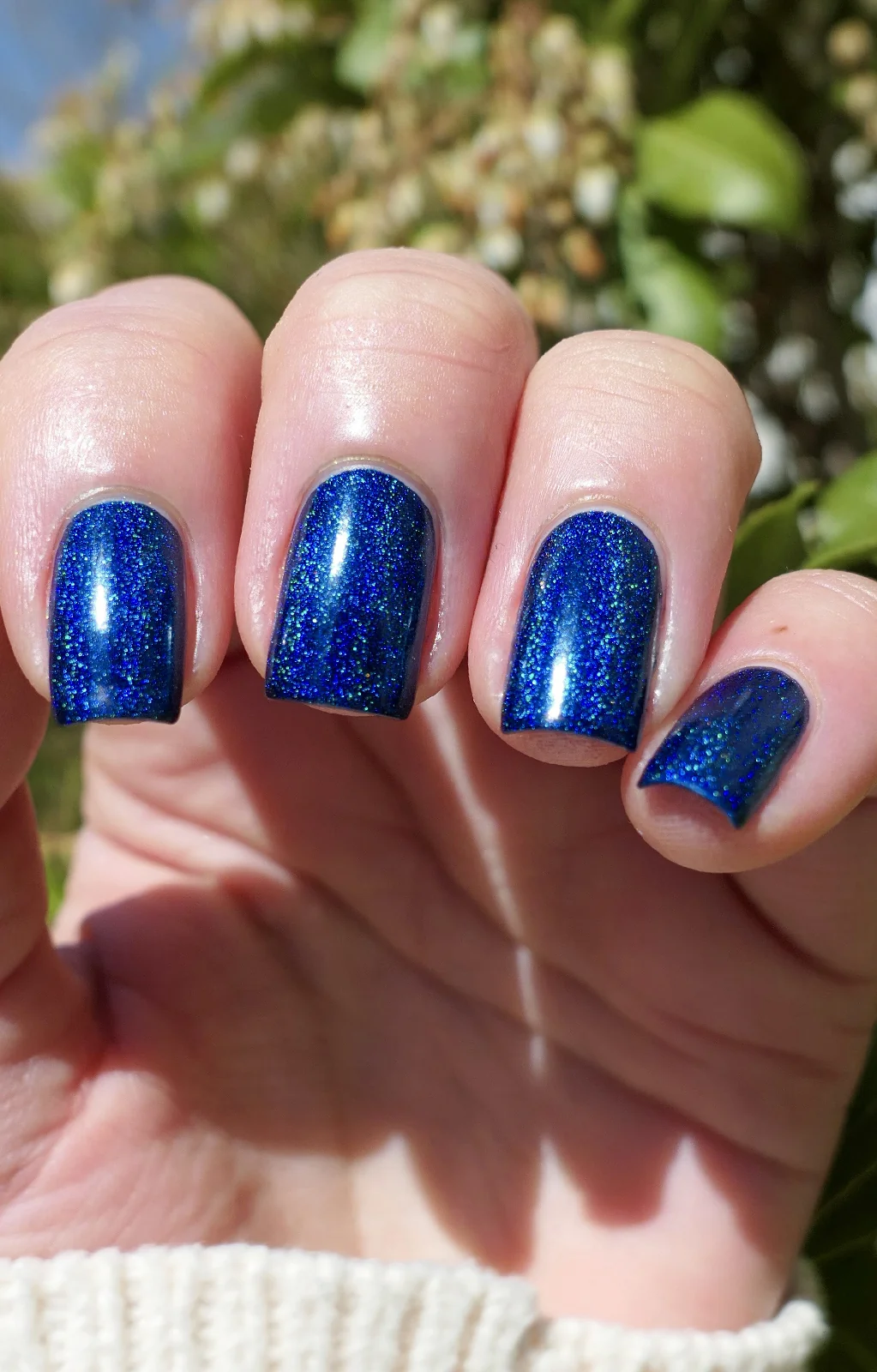 Blue Rose - Image 7