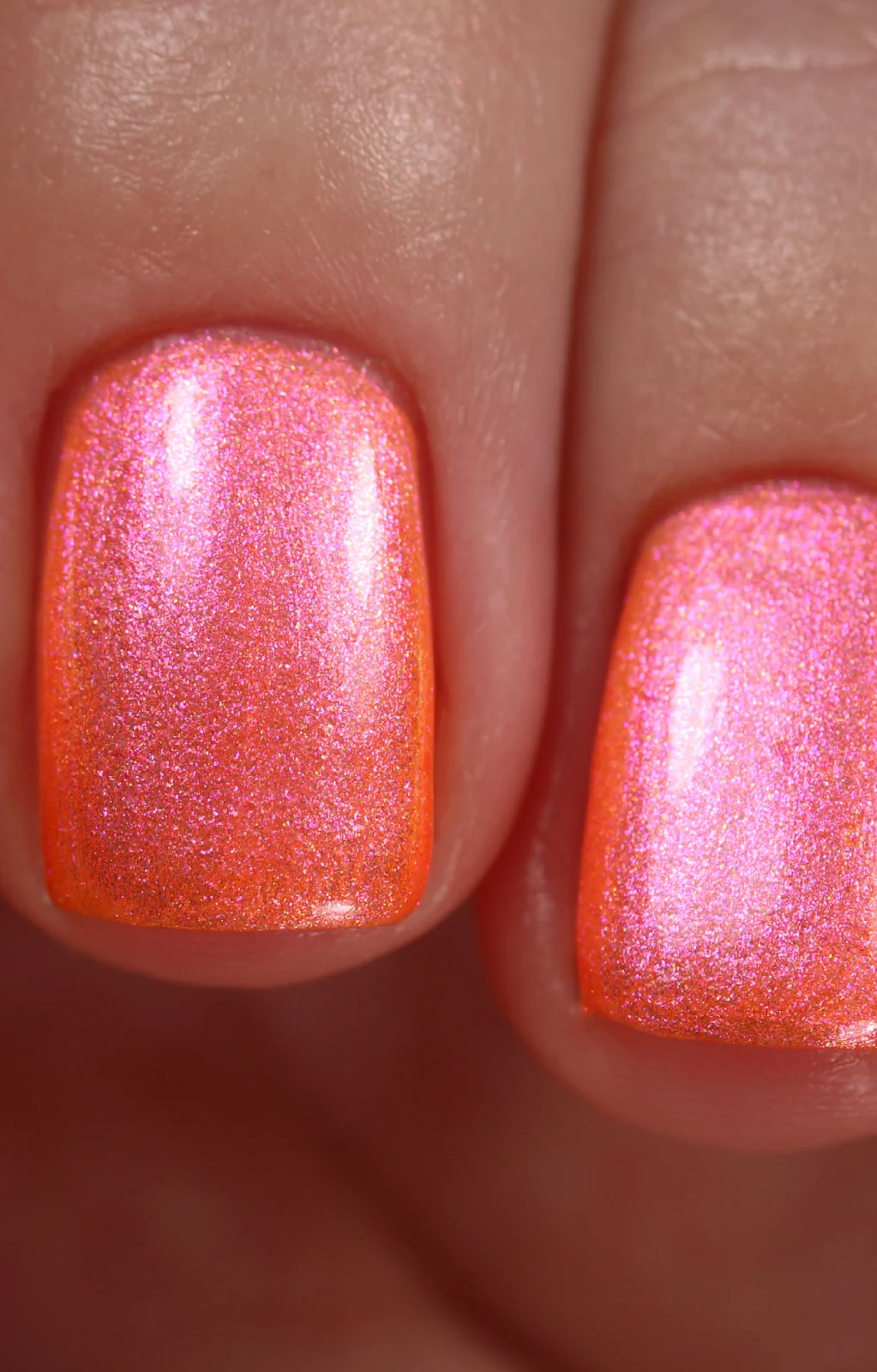 Moon Sugar - Image 13