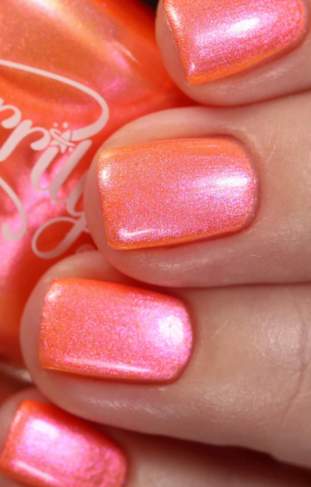 Moon Sugar - Image 14