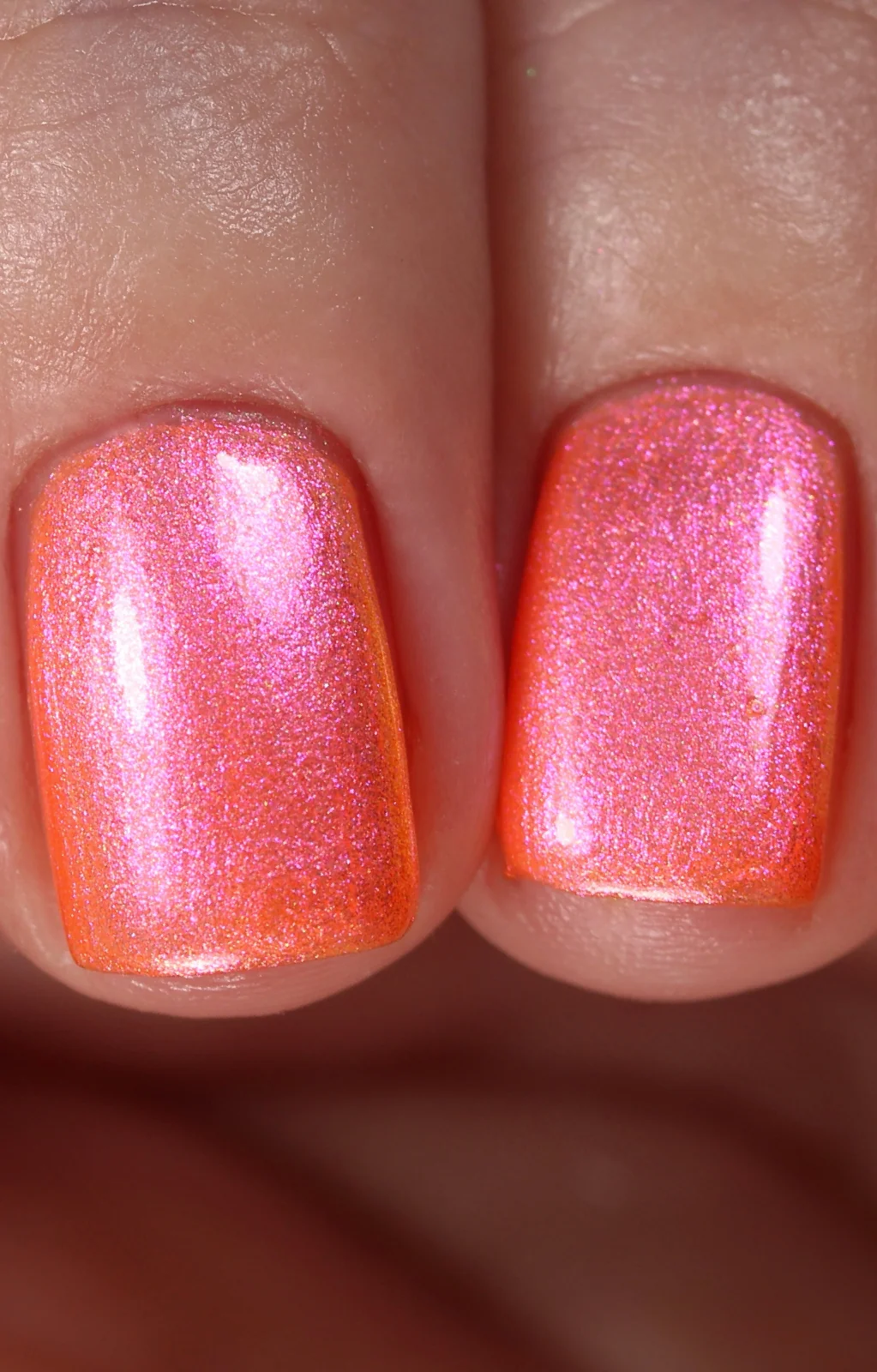 Moon Sugar - Image 15