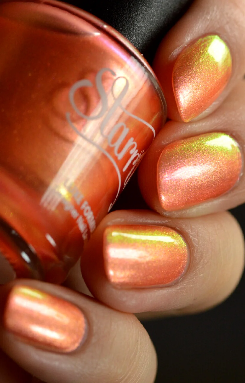 Moon Sugar - Image 17