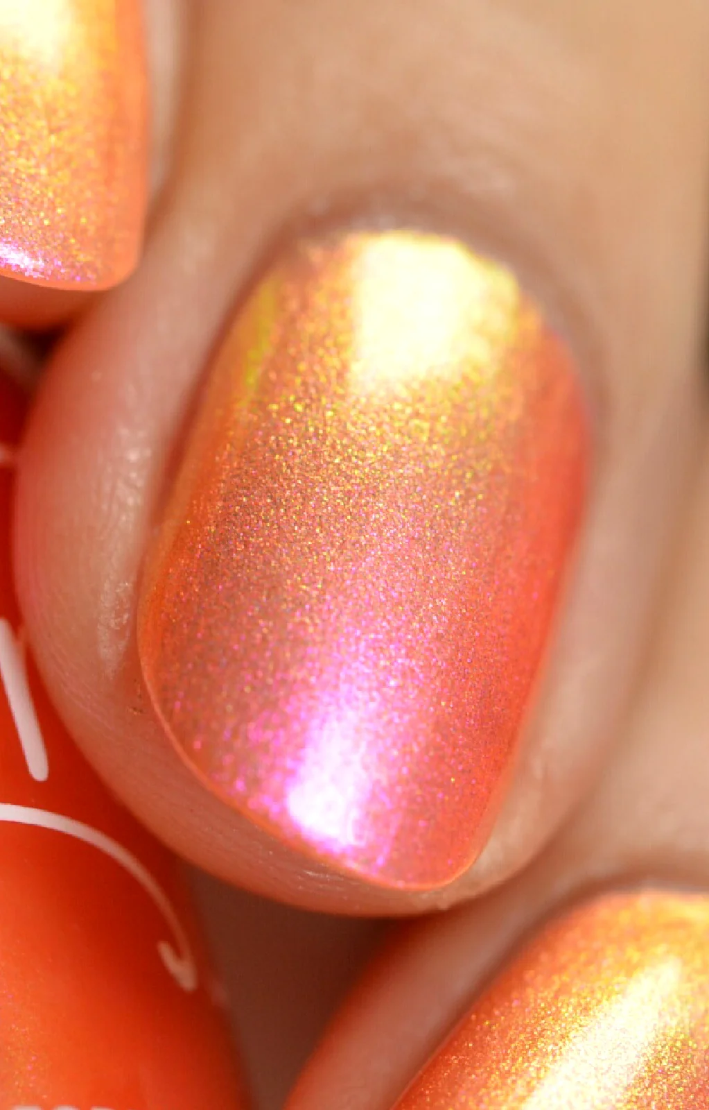 Moon Sugar - Image 18