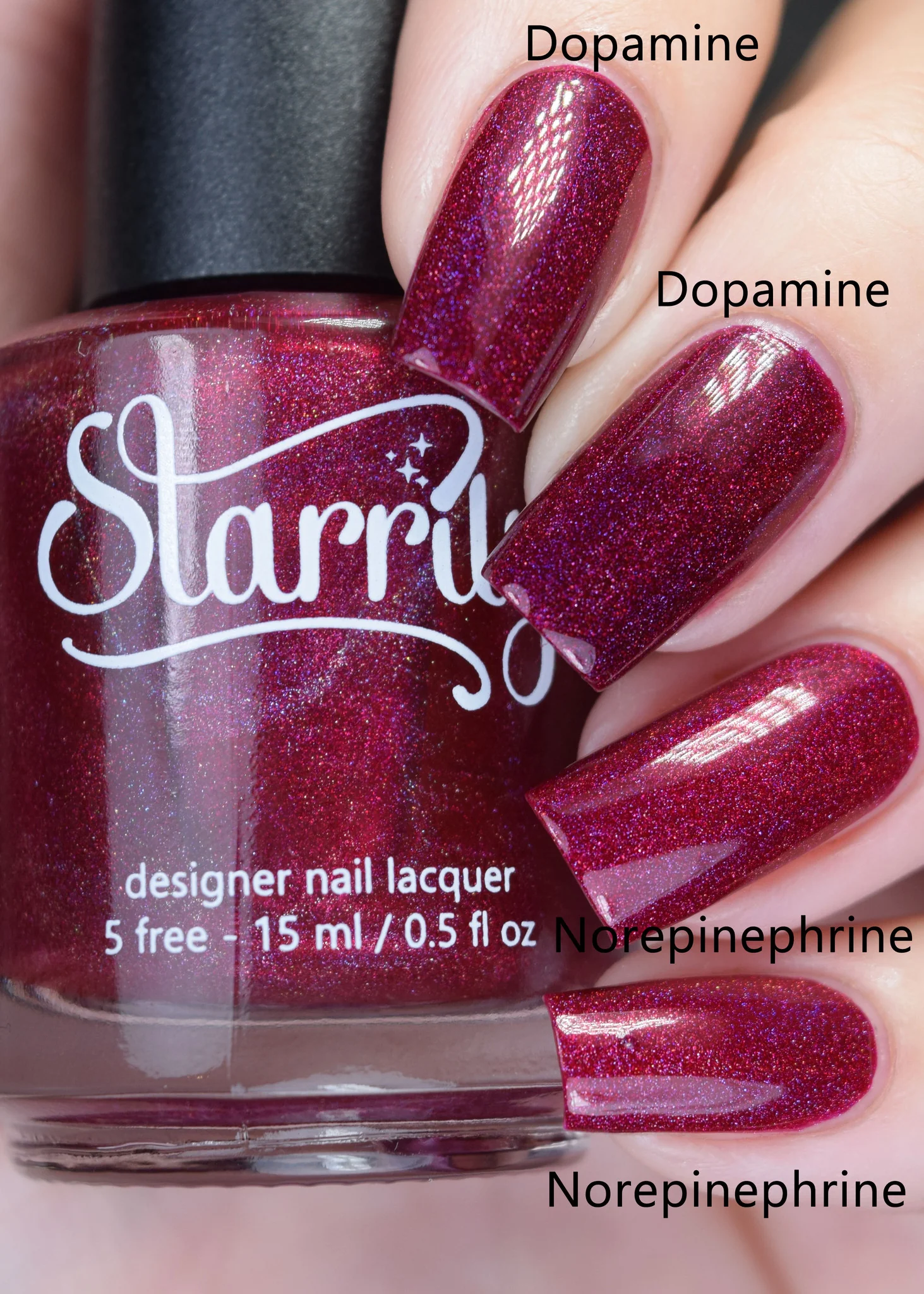 Norepinephrine - Image 4