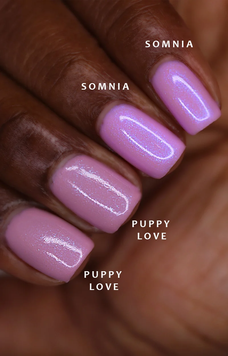 Puppy Love - Image 11